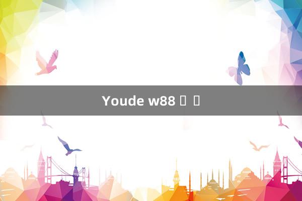 Youde w88 가짜