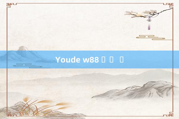 Youde w88 좋은 돈