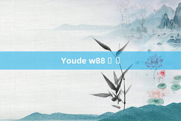 Youde w88 공식